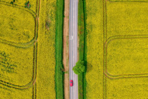 Canadian government invests in plant-based food innovation