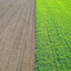 We’re ruining our soil at a rate that threatens life on Earth – but we don’t have to