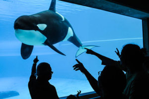 Everyone does not love Marineland