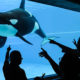 Everyone does not love Marineland