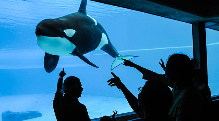 Everyone does not love Marineland