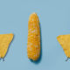 Corn chips walking: How the overuse of corn in animal agriculture is devastating our environment