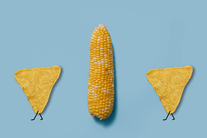 Corn chips walking: How the overuse of corn in animal agriculture is devastating our environment